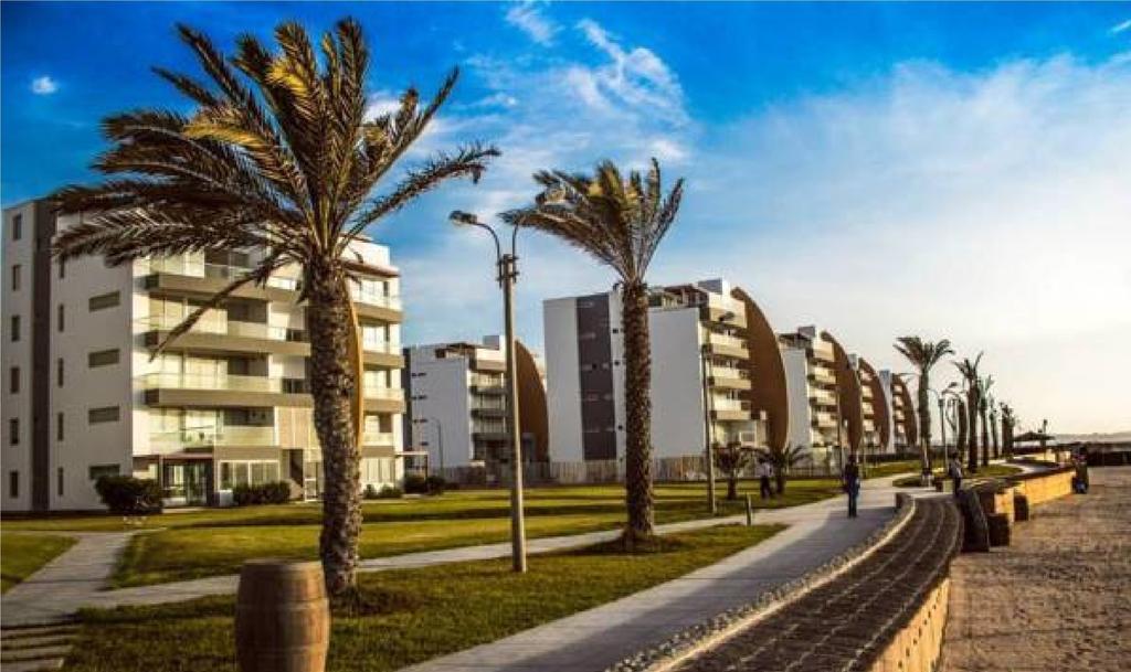 Nuevo Paracas