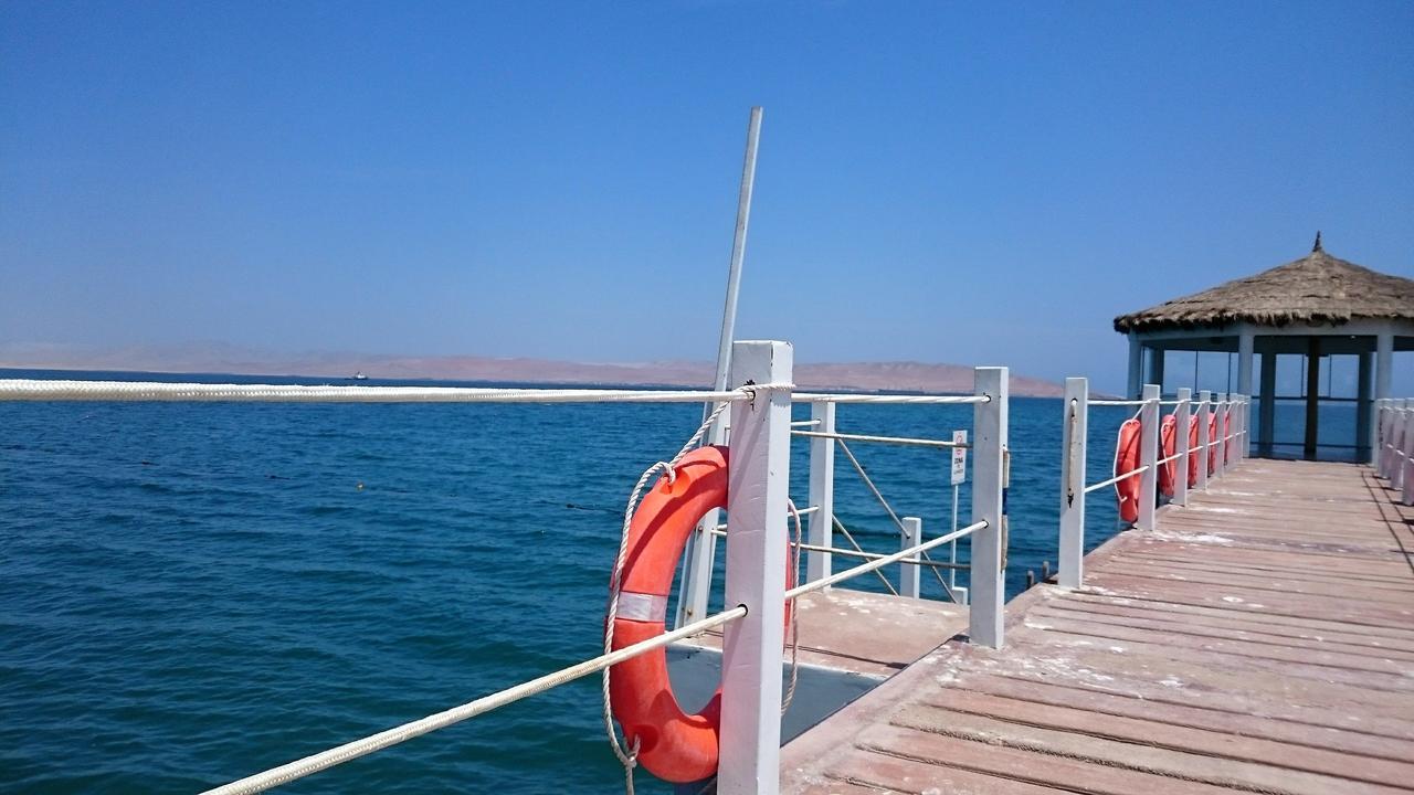 Nuevo * Paracas