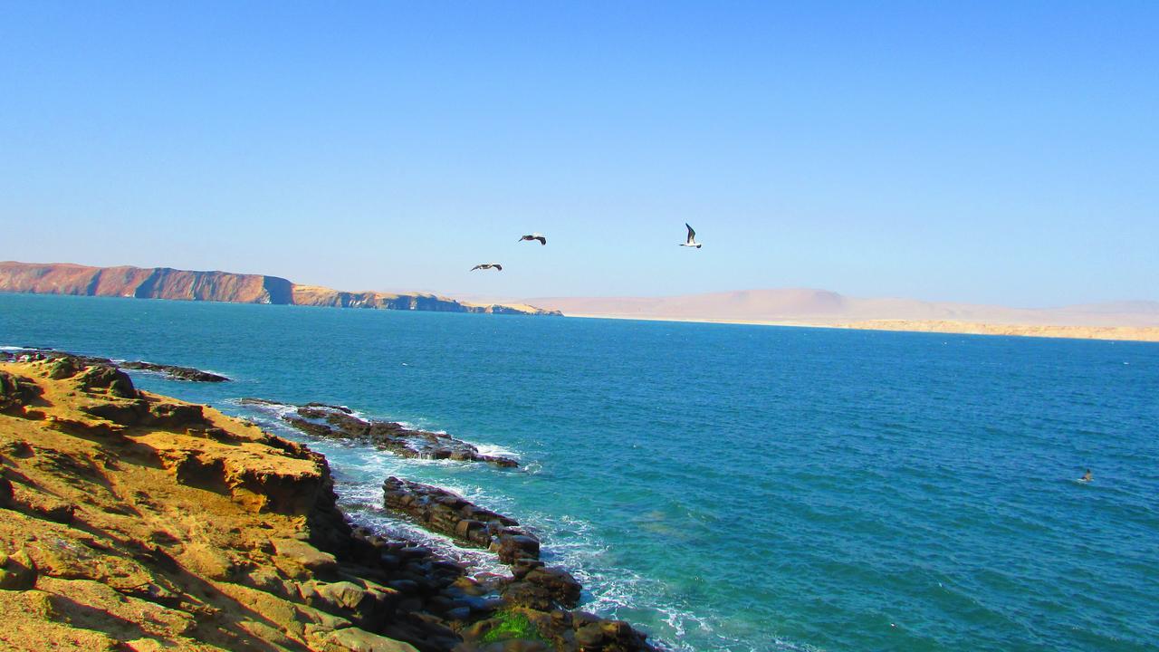 Nuevo Appartement Paracas